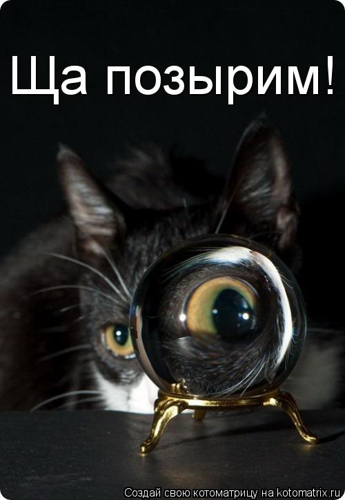 Котоматрица: Ща позырим!