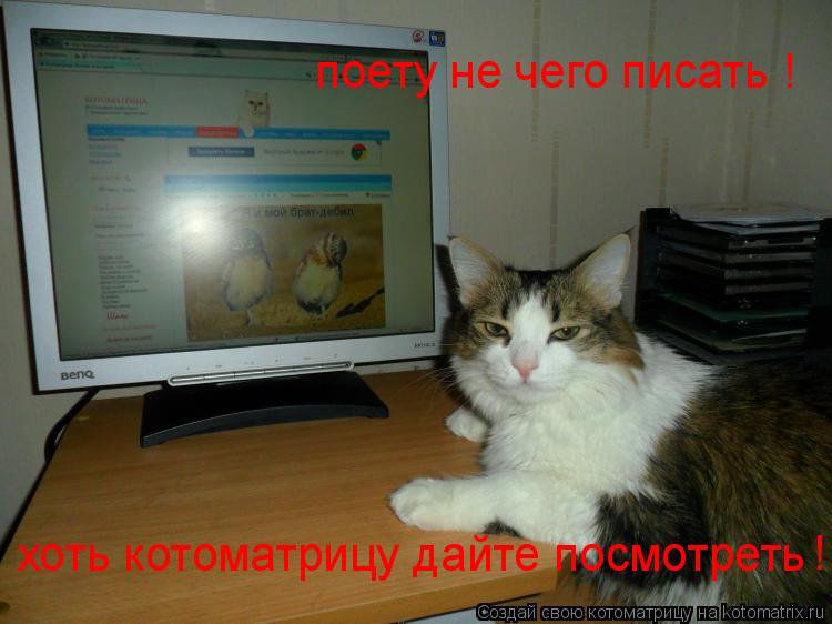 Котоматрица: поету не чего писать ! хоть котоматрицу дайте посмотреть  !