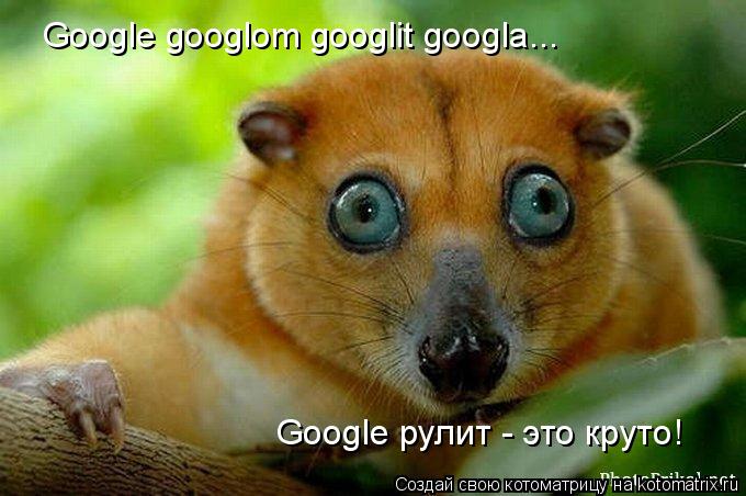 Котоматрица: Google googlom googlit googla... Google рулит - это круто!