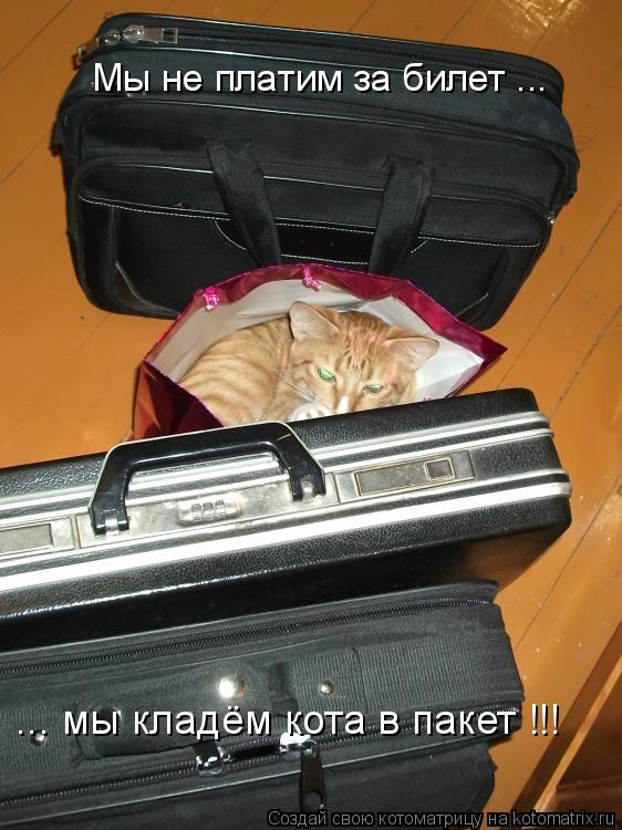 Котоматрица: Мы не платим за билет ... ... мы кладём кота в пакет !!!