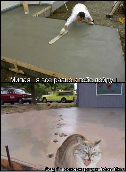 Котоматрица: Милая , я всё равно к тебе дойду !..