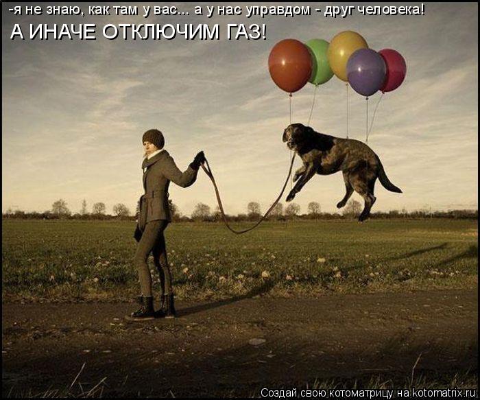 Котоматрица: -я не знаю, как там у вас... а у нас управдом - друг человека! А ИНАЧЕ ОТКЛЮЧИМ ГАЗ!