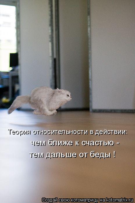 Котоматрица: Теория относительности в действии: чем ближе к счастью - тем дальше от беды !