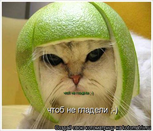 Котоматрица: чтоб не гладели ;-) чтоб не гладели ;-)