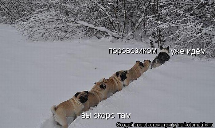 Котоматрица: вы скоро там уже идём поровозиком