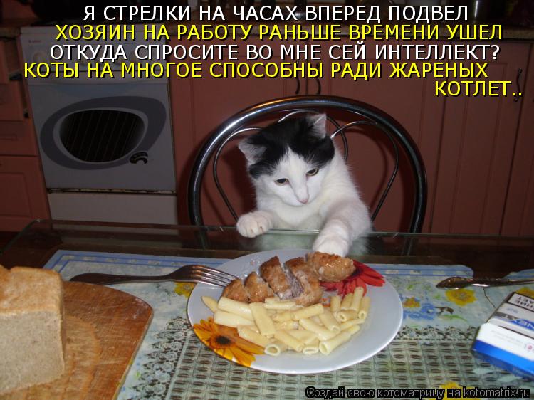 Котоматрица: Я СТРЕЛКИ НА ЧАСАХ ВПЕРЕД ПОДВЕЛ ХОЗЯИН НА РАБОТУ РАНЬШЕ ВРЕМЕНИ УШЕЛ ОТКУДА СПРОСИТЕ ВО МНЕ СЕЙ ИНТЕЛЛЕКТ? КОТЫ НА МНОГОЕ СПОСОБНЫ РАДИ ЖА