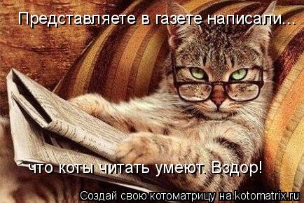 Котоматрица: Представляете в газете написали... что коты читать умеют. Вздор!