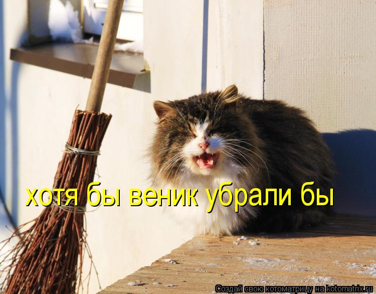 Котоматрица: хотя бы веник убрали бы