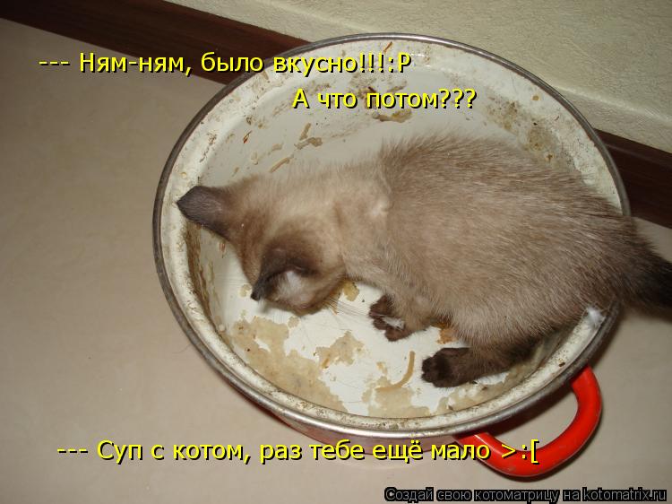 Котоматрица: --- Ням-ням, было вкусно!!!:Р  А что потом??? --- Суп с котом, раз тебе ещё мало >:[