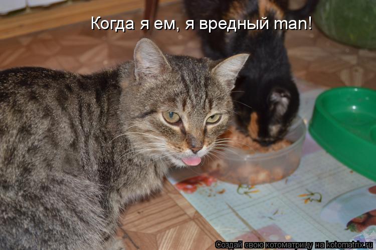Котоматрица: Когда я ем, я вредный man!
