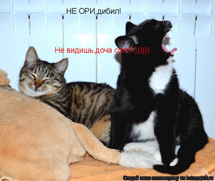 Котоматрица: НЕ ОРИ,дибил! Не видишь,доча спит!:))))))