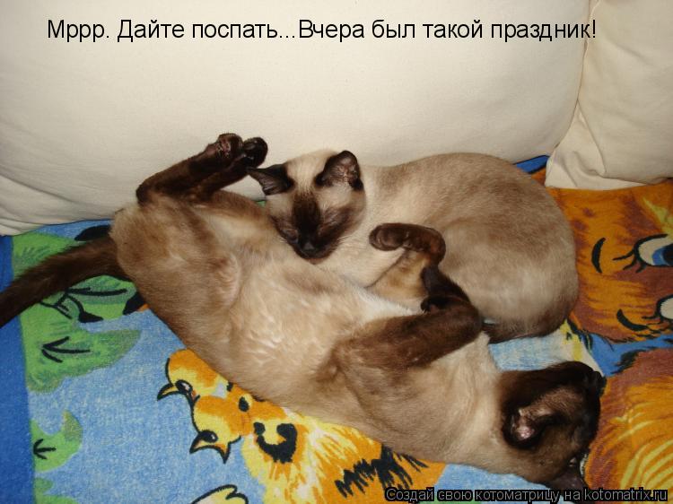 Котоматрица: Мррр. Дайте поспать...Вчера был такой праздник!