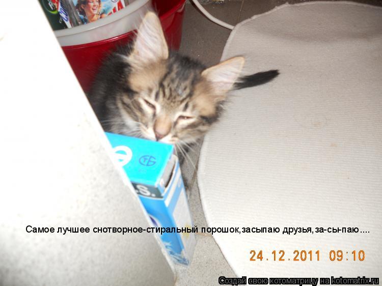 Котоматрица: Самое лучшее снотворное-стиральный порошок,засыпаю друзья,за-сы-паю....