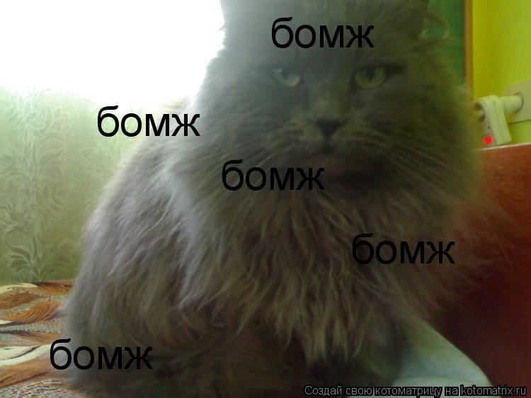 Котоматрица: бомж бомж бомж бомж бомж