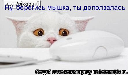 Котоматрица: Ну, берегись мышка, ты доползалась