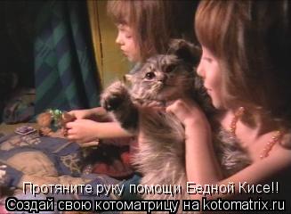 Котоматрица: Протяните руку помощи Бедной Кисе!!