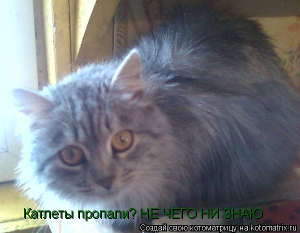 Котоматрица: Катлеты пропали? НЕ ЧЕГО НИ ЗНАЮ