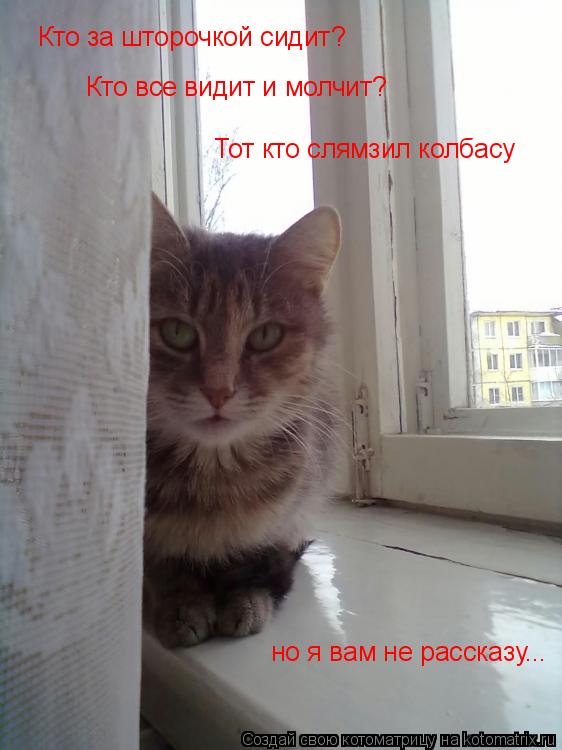 Котоматрица: Кто за шторочкой сидит? Кто все видит и молчит? Тот кто слямзил колбасу но я вам не рассказу...