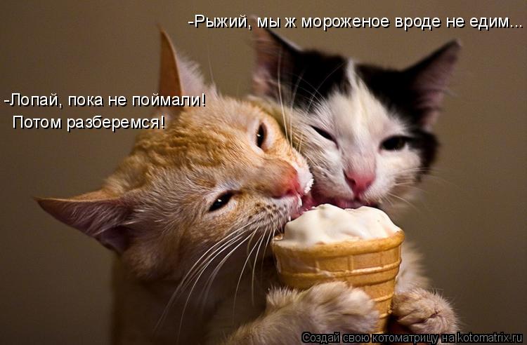 Котоматрица: -Рыжий, мы ж мороженое вроде не едим... Потом разберемся! -Лопай, пока не поймали!