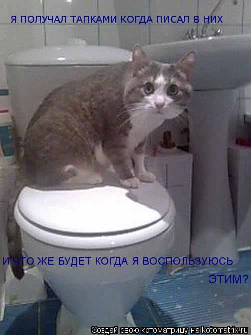 Котоматрица: Я ПОЛУЧАЛ ТАПКАМИ КОГДА ПИСАЛ В НИХ И ЧТО ЖЕ БУДЕТ КОГДА Я ВОСПОЛЬЗУЮСЬ  ЭТИМ?