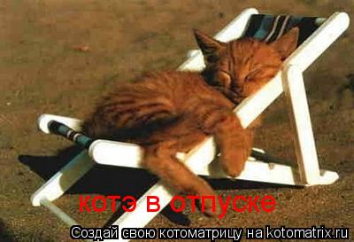 Котоматрица: котэ в отпуске