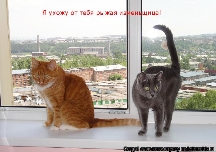 Котоматрица: Я ухожу от тебя рыжая изменьщица!