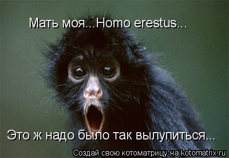 Котоматрица: Мать моя...Homo erestus... Это ж надо было так вылупиться...