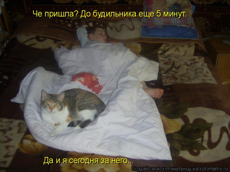Котоматрица: Че пришла? До будильника еще 5 минут. Да и я сегодня за него...