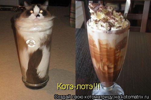 Котоматрица: Котэ-лотэ!!!