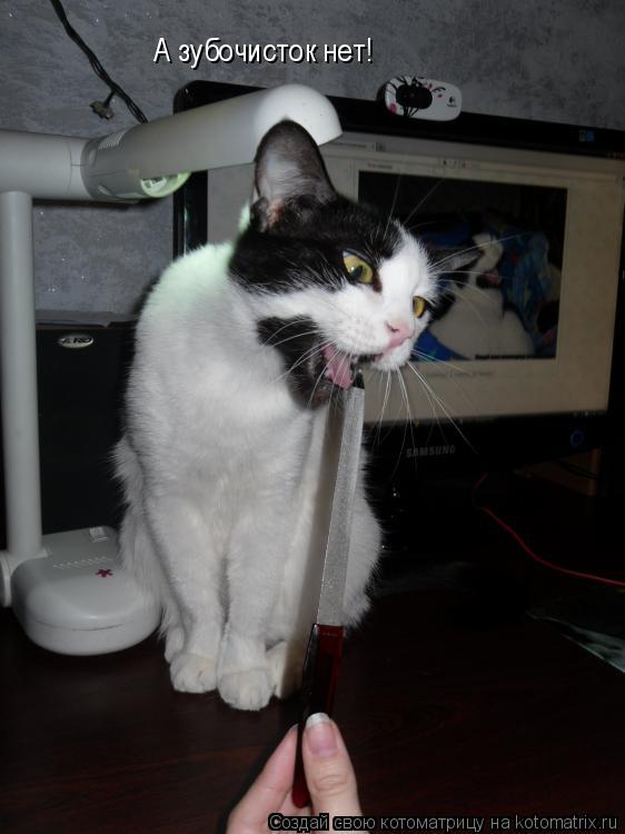 Котоматрица: А зубочисток нет!