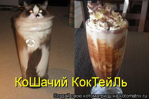 Котоматрица: КоШачий КокТейЛь