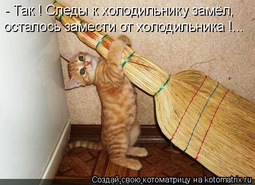 Котоматрица: - Так ! Следы к холодильнику замёл, осталось замести от холодильника !...