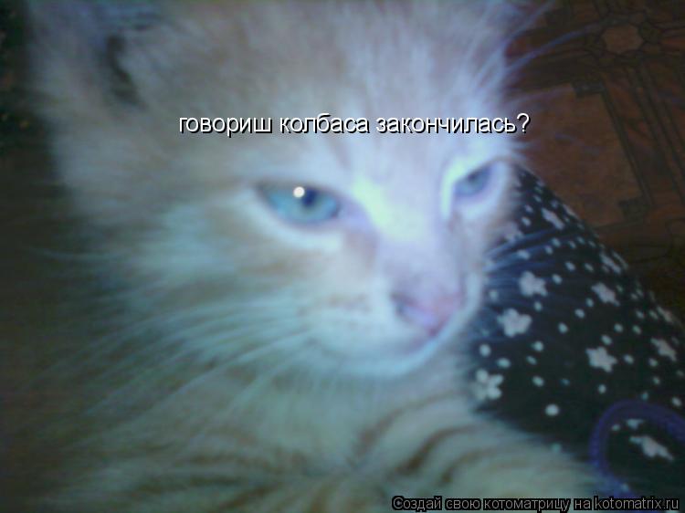 Котоматрица: говориш колбаса закончилась?