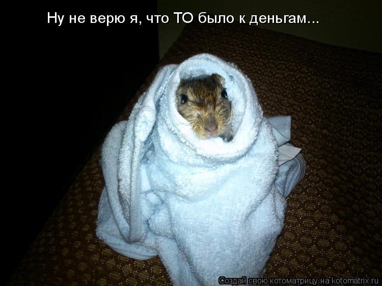 Котоматрица: Ну не верю я, что ТО было к деньгам...