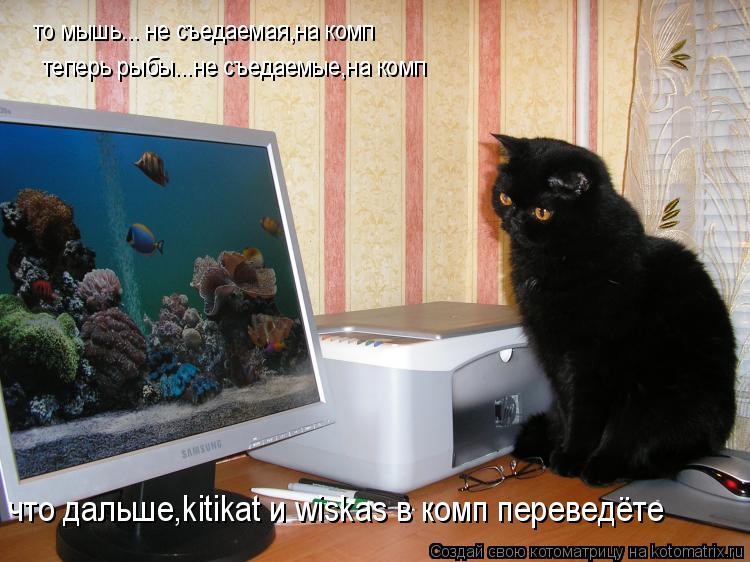 Котоматрица: то мышь... не съедаемая,на комп теперь рыбы...не съедаемые,на комп  что дальше,kitikat и wiskas в комп переведёте
