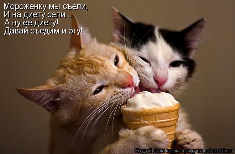 Котоматрица: Мороженку мы съели, И на диету сели... А ну её,диету! Давай съедим и эту!