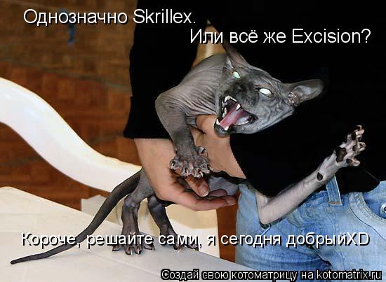 Котоматрица: Однозначно Skrillex. Или всё же Excision? Короче, решайте сами, я сегодня добрыйXD