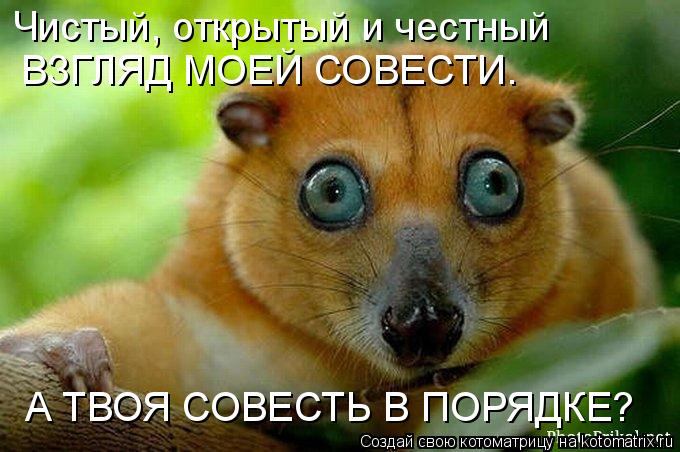 Котоматрица: Чистый, открытый и честный ВЗГЛЯД МОЕЙ СОВЕСТИ. А ТВОЯ СОВЕСТЬ В ПОРЯДКЕ?