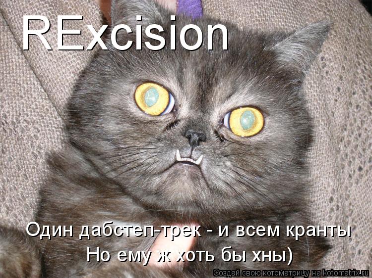 Котоматрица: RExcision Один дабстеп-трек - и всем кранты Но ему ж хоть бы хны)