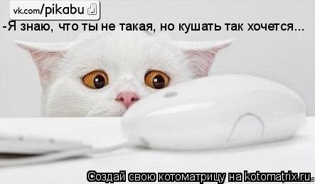 Котоматрица: -Я знаю, что ты не такая, но кушать так хочется...