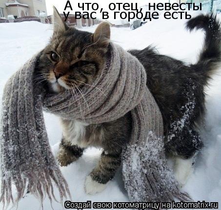 Котоматрица: А что, отец, невесты у вас в городе есть