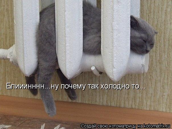 Котоматрица: Блииинннн...ну почему так холодно то...