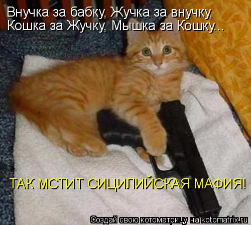 Котоматрица: Внучка за бабку, Жучка за внучку, Кошка за Жучку, Мышка за Кошку... ТАК МСТИТ СИЦИЛИЙСКАЯ МАФИЯ!