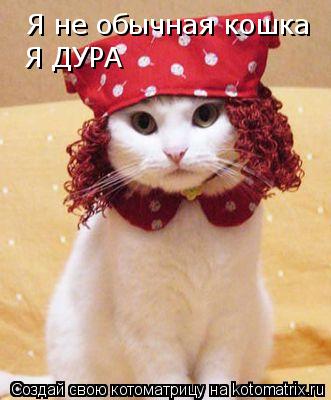 Котоматрица: Я не обычная кошка Я ДУРА