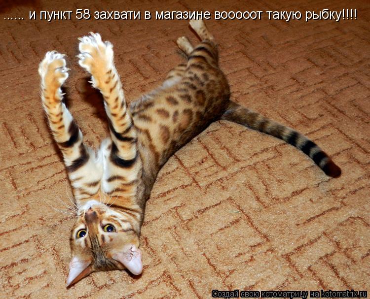 Котоматрица: ...... и пункт 58 захвати в магазине вооооот такую рыбку!!!!