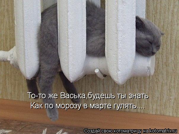 Котоматрица: То-то же Васька,будешь ты знать Как по морозу в марте гулять....