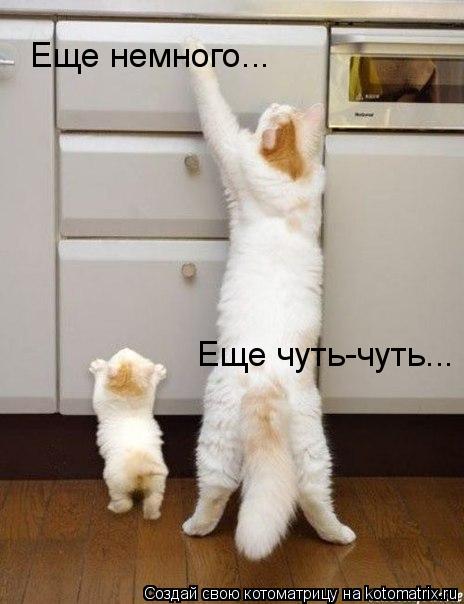 Котоматрица: Еще немного... Еще чуть-чуть...
