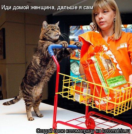 Котоматрица: Иди домой женщина, дальше я сам