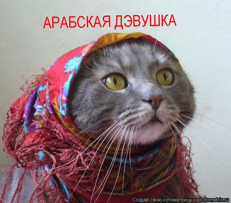 Котоматрица: АРАБСКАЯ ДЭВУШКА АРАБСКАЯ ДЭВУШКА