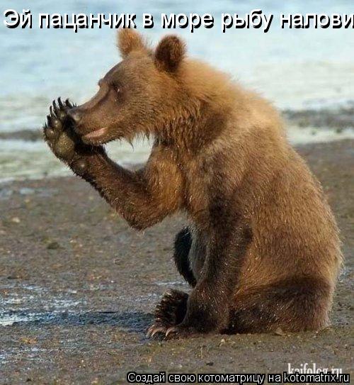 Котоматрица: Эй пацанчик в море рыбу налови Эй пацанчик в море рыбу налови